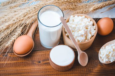 süt, peynir, ekşi krema ve yumurta 