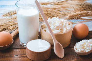 süt, peynir, ekşi krema ve yumurta 