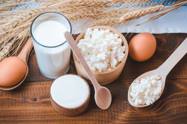 süt, peynir, ekşi krema ve yumurta 