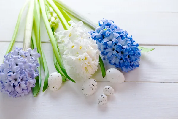 Jacintos flores com ovos de Páscoa — Fotografia de Stock