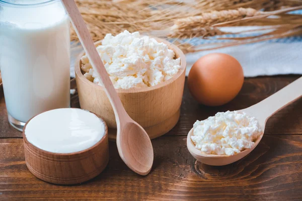 Milk, cheese, sour cream and egg — Stock Photo, Image