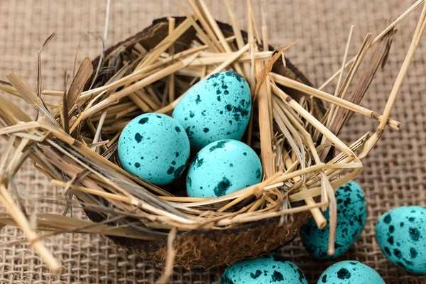 Easter eggs in the nest — Stock Photo, Image