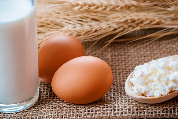 Bicchiere di latte, uova e ricotta — Foto Stock