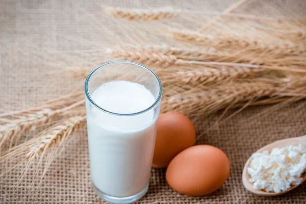 Bicchiere di latte, uova e ricotta — Foto Stock