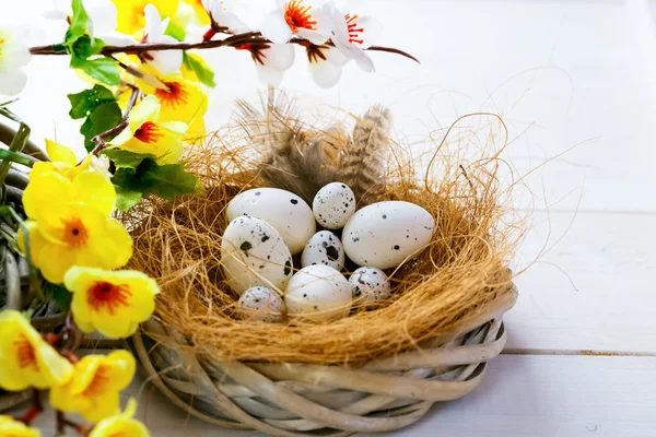 Easter nest with eggs background