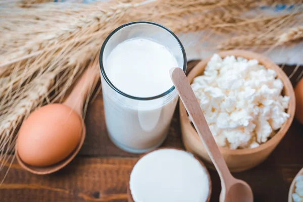 Latte, formaggio, panna acida e uova — Foto Stock