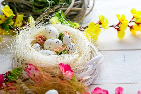 Nido de Pascua con fondo de huevos —  Fotos de Stock