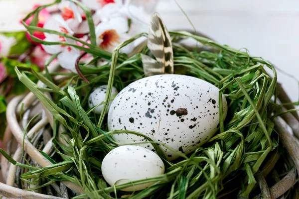 Ninho de Páscoa com fundo de ovos Imagens Royalty-Free