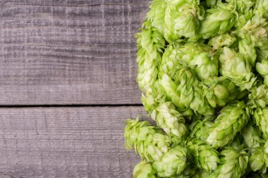 taze yeşil şerbetçiotu