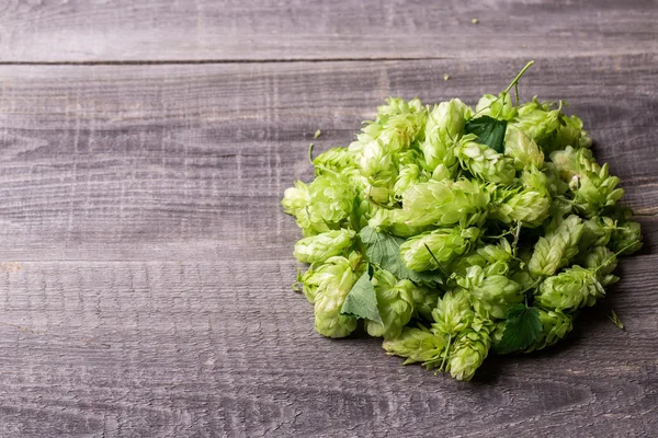 Fresh green hops — Stock Photo, Image