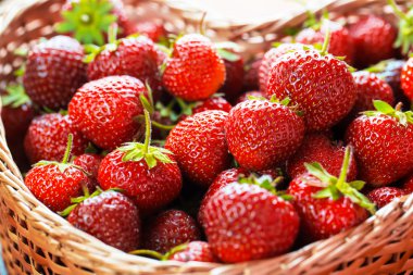 bir hasır taze çilek