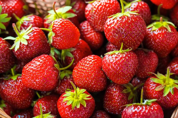 Fresh strawberries in a wicker — Stock Photo, Image