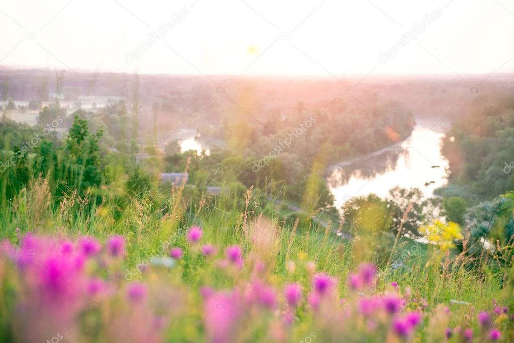 Луг с цветами схема Луг с цветами схема