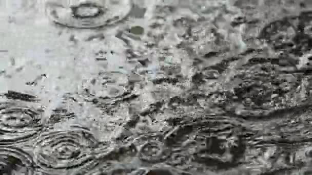 Крупный план дождевых капель, падающих в лужи на дороге — стоковое видео