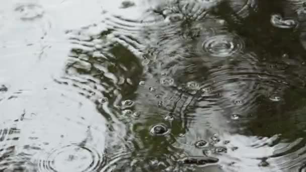 Close-up van regen druppels vallen in de plassen op de weg — Stockvideo