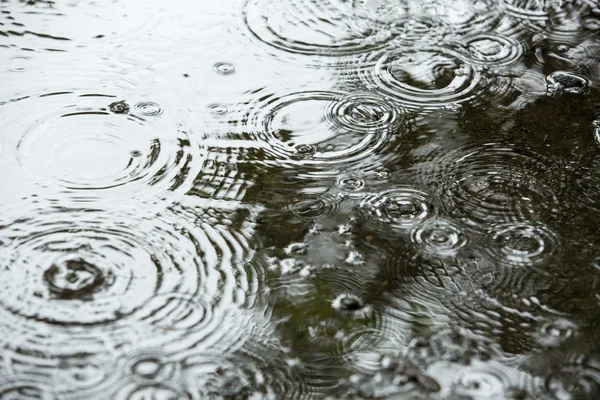 Krásné přírodní pozadí s deštivé počasí — Stock fotografie