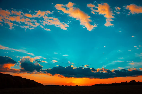 Hermoso paisaje de puesta de sol ardiente en el prado y el cielo naranja por encima de ella. Increíble amanecer de verano como fondo. — Foto de Stock