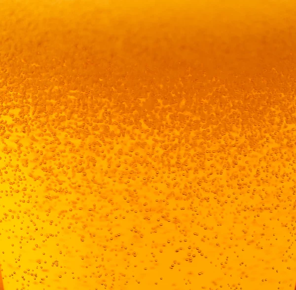 맥주 배경 — 스톡 사진