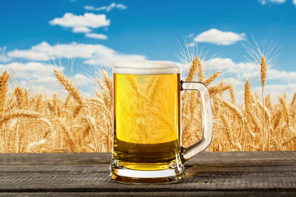 Pivní sklo a pšeničné pole — Stock fotografie