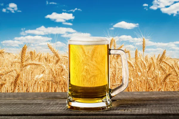 Copo de cerveja e campo de trigo — Fotografia de Stock