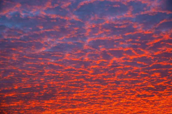 Céu de pôr-do-sol laranja — Fotografia de Stock