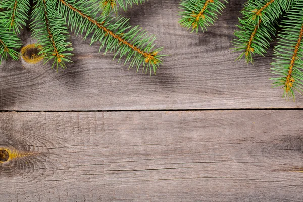 Fondo de abeto de Navidad — Foto de Stock