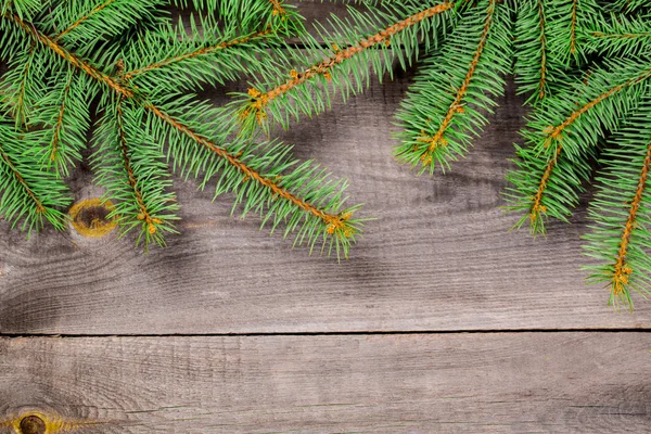 クリスマスのモミの木の背景 — ストック写真