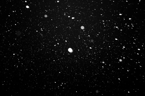 Fallande snö — Stockfoto