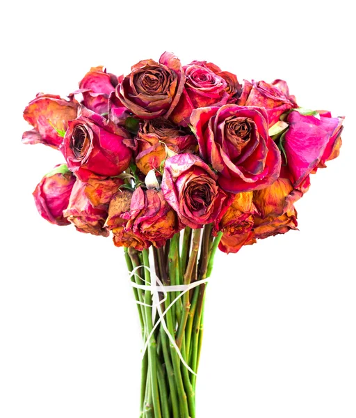 Bouquet of dried roses — Stock Photo, Image