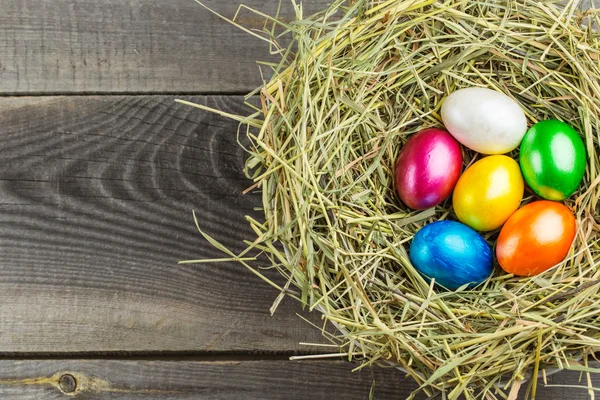 Kleurrijke paaseieren in nest — Stockfoto