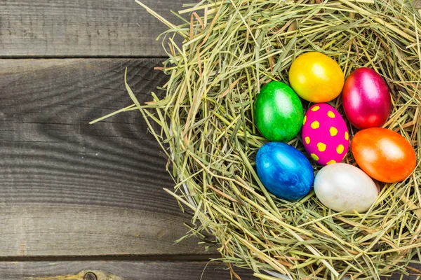 Huevos de Pascua en el nido — Foto de Stock