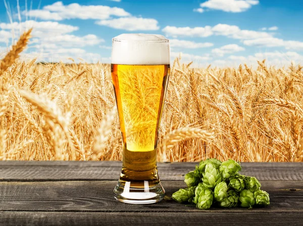 Bierglas met hop — Stockfoto