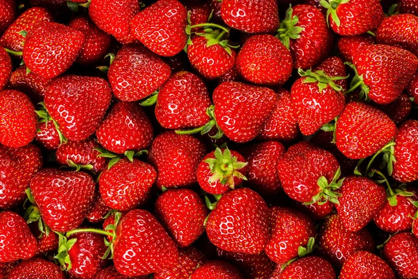 Färsk jordgubbe bakgrund — Stockfoto