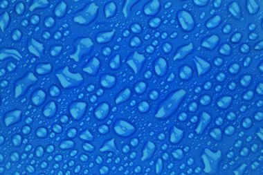 mavi renkli üzerinde keser