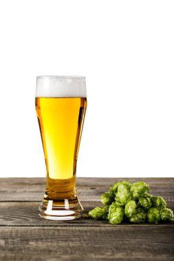 bira cam ve şerbetçiotu