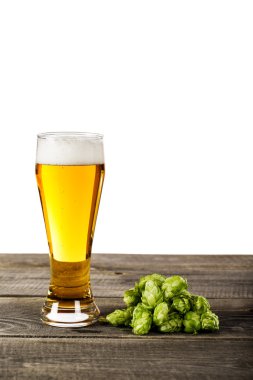 bira cam ve şerbetçiotu