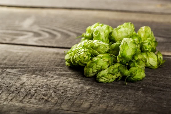 Fresh green hops — Stock Photo, Image