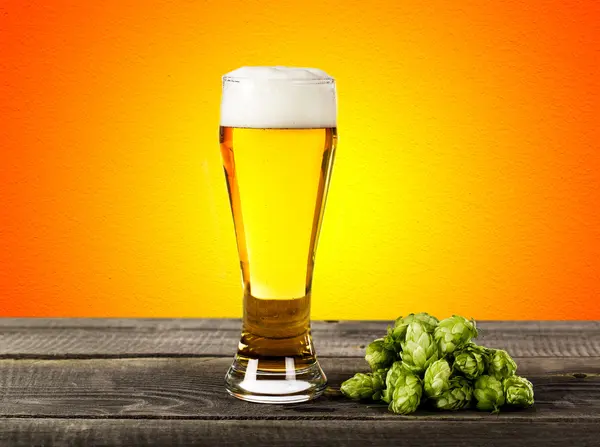 Glas bier met hop — Stockfoto