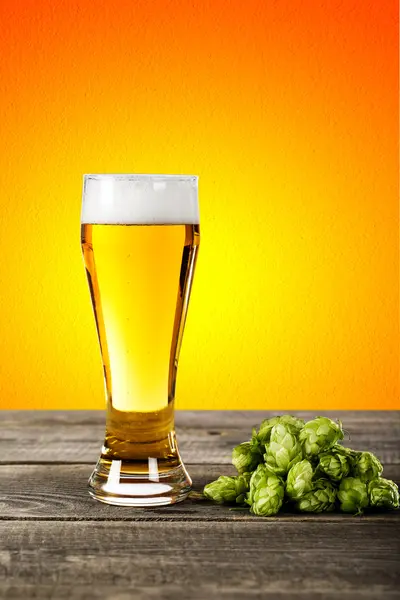 Glas bier met hop — Stockfoto