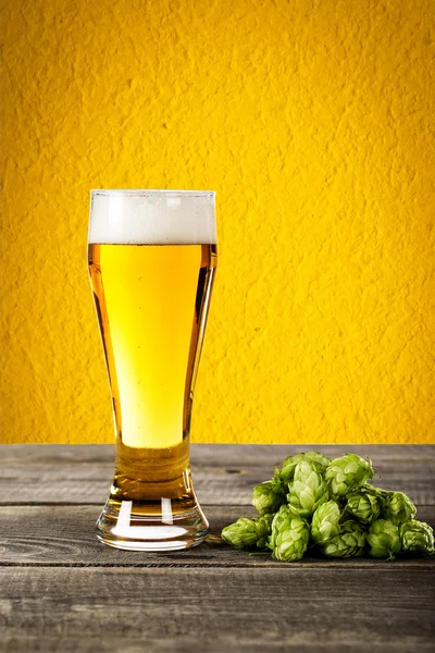 Стеклянное пиво с хмелем — стоковое фото