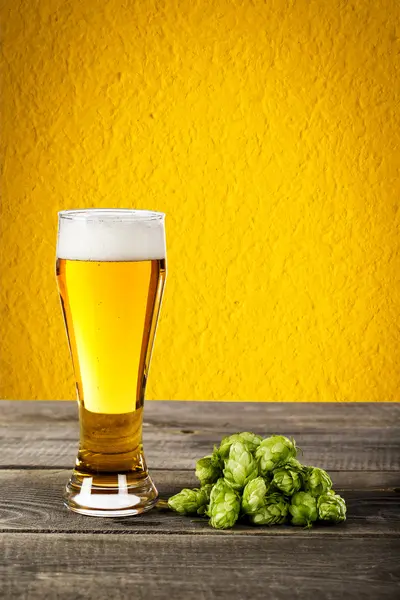 Glas bier met hop — Stockfoto