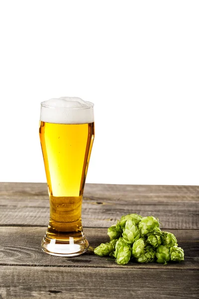 Bierglas en hop — Stockfoto