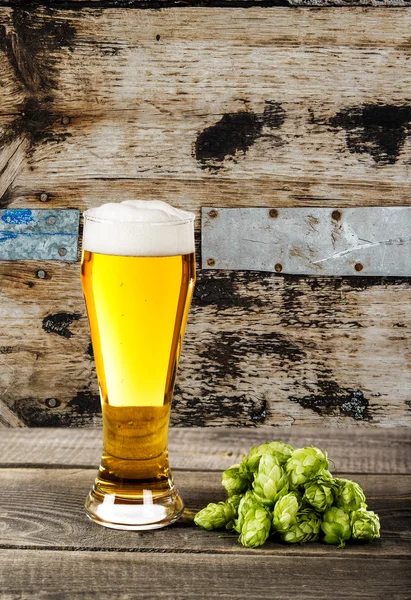 Glas bier met hop — Stockfoto