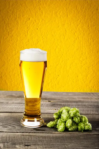 Glas bier met hop — Stockfoto