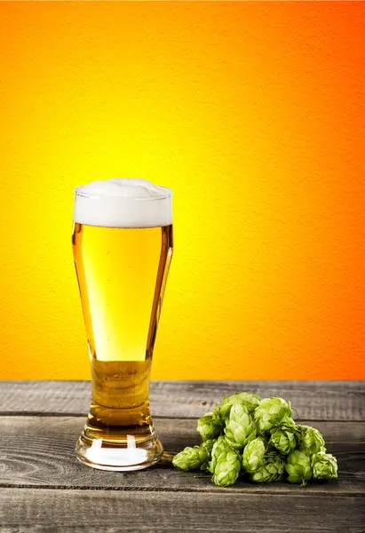 Glas bier met hop — Stockfoto