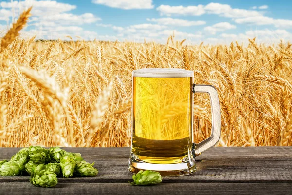 Bierglas met hop — Stockfoto