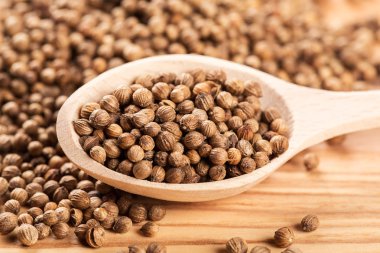 Kaşığı kişniş tohumu