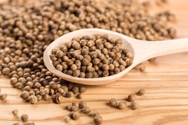 Kaşığı kişniş tohumu