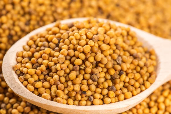 Colher de sementes de mostarda — Fotografia de Stock