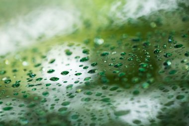 su kabarcıkları damla